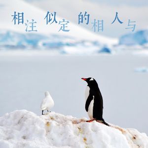 1.不上班又如何？《孤独星球》作者和跨界摄影师相与出发