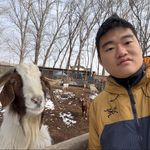 杰瑞不是杰瑞