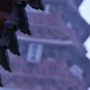 EP6辽金的风，辽金的雪与一场辽金的梦：净土寺、应县木塔与崇福寺