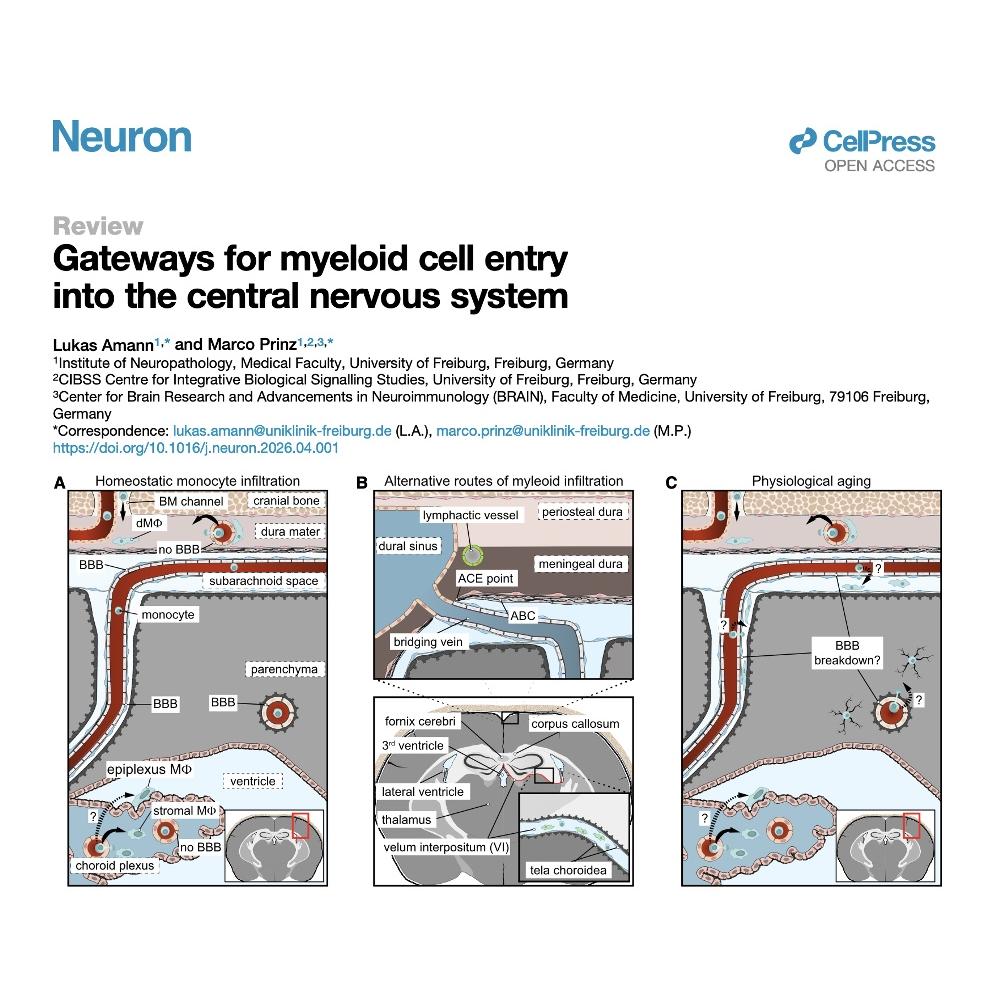 998-Gateways for Myeloid Cell Entry into the CNS episode artwork