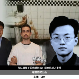 005.灯红酒绿下的残酷杀机：梨泰院杀人事件