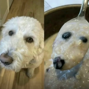 108 人生伴侣二选一：很帅但很无聊or巨丑但巨有趣？