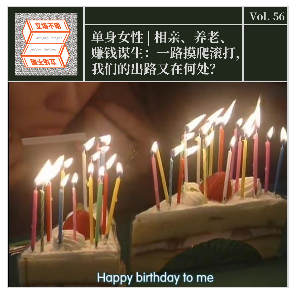 cover of episode Vol.56 单身女性 | 相亲、养老、赚钱谋生：一路摸爬滚打，我们的出路又在何处？