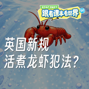 环球新发现｜英国新规，活煮龙虾犯法？- 2025/12 第五周