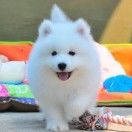 角落里的太阳
