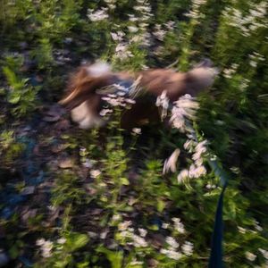 秋生活灵生生进