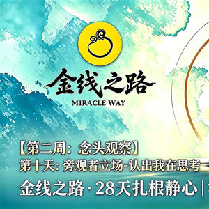 第十天：旁观者立场-认出我在思考