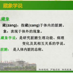 中医基础理论——阴阳五行藏象学说