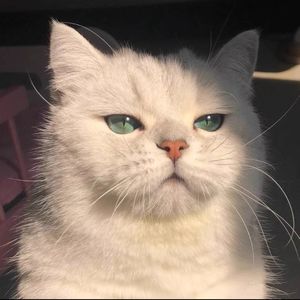 podcaster-avatar