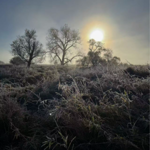 EP030：Reaction | 在同一个冬天醒来