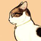 猫鳍星