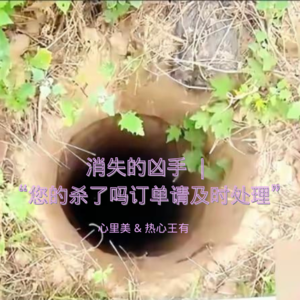 04 消失的凶手｜您的杀了吗订单请及时处理