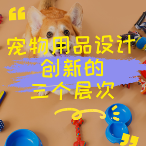 宠物用品设计创新的三个层次