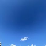 蜜柑柑柑