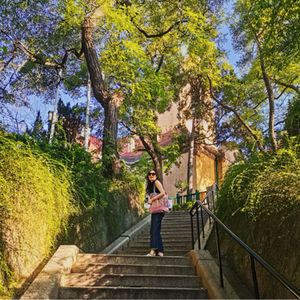 小径分叉的花园之碎碎念