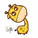 是璐璐呀a