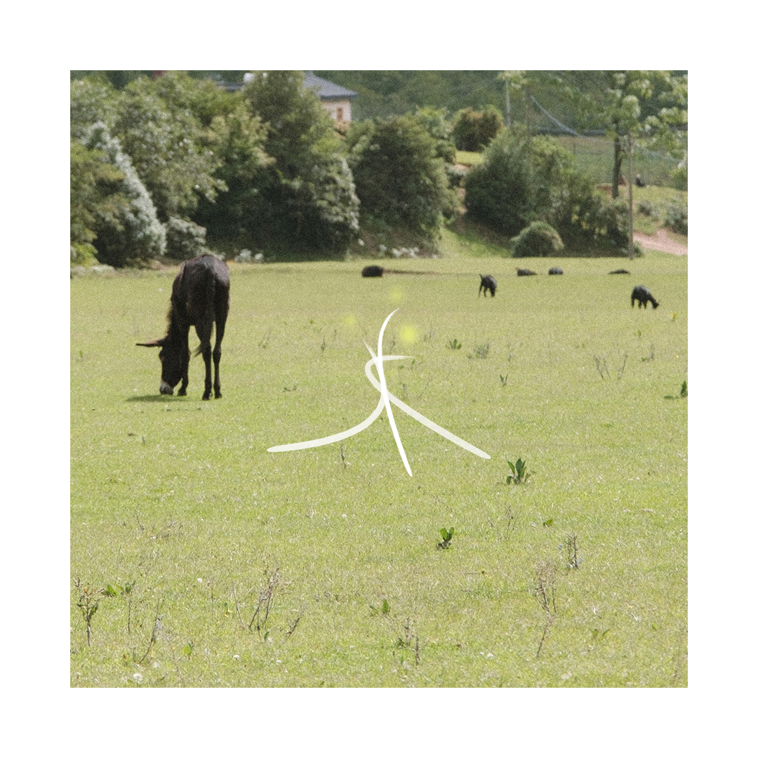 cover of episode 叮！你的云南方言主播已上线～前后鼻音分不清，该说啥还是得咔咔说｜保湿森林 07