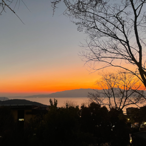 过年的快乐时光藏在了抚仙湖与西双版纳