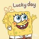 春暖伴花开果然沁花海