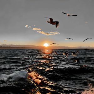 podcaster-avatar