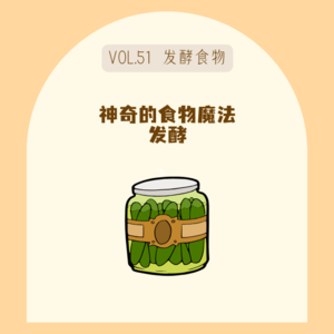 51从网红康普茶到5毛钱泡菜，发酵食品是智商税or真健康？
