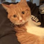 拱北站k3路巴士