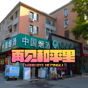 再见！和平里-北京话事人286