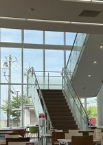 37🪪🇯🇵串台·高考后去日本留学，是另一种人生答卷吗？(&《范来张口FM》)