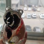 八月的鲸鱼