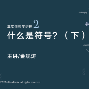 金观涛：什么是符号？（下）｜真实性哲学系列讲座