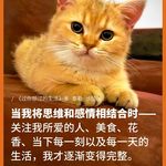 悦纳2023