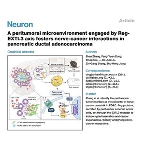 1057-Reg-EXTL3 Axis in Pancreatic Cancer Nerve Crosstalk