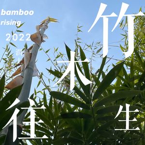 竹生木往