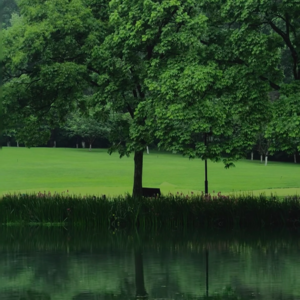 26.Playlist｜坐在公园，看雨水滴落在绿色池塘