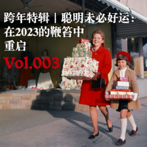 Vol.003 跨年特辑|聪明未必好运:在2023的鞭笞中重启
