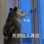 叫你看书你养猪