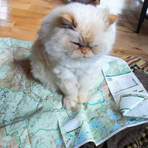 知道传教士郭士立这个洋人么