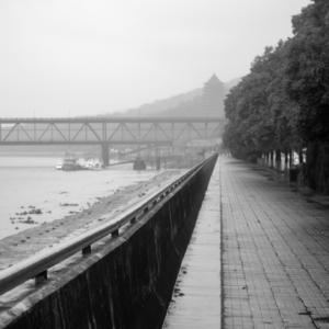 Vol.13 杭州，来自山川湖海的城市