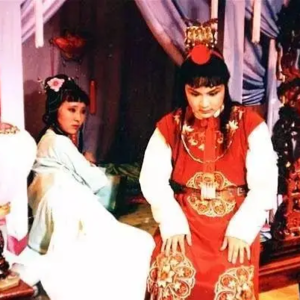 Vol.014 贾宝玉会是中国的爱丽丝·门罗吗？