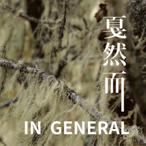 Vol.9 知识焦虑着，但此刻感知秋天吧