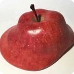 春木的世界