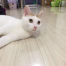 不爱泡泡水
