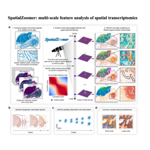 280-SpatialZoomer: Multi-Scale Spatial Transcriptomics