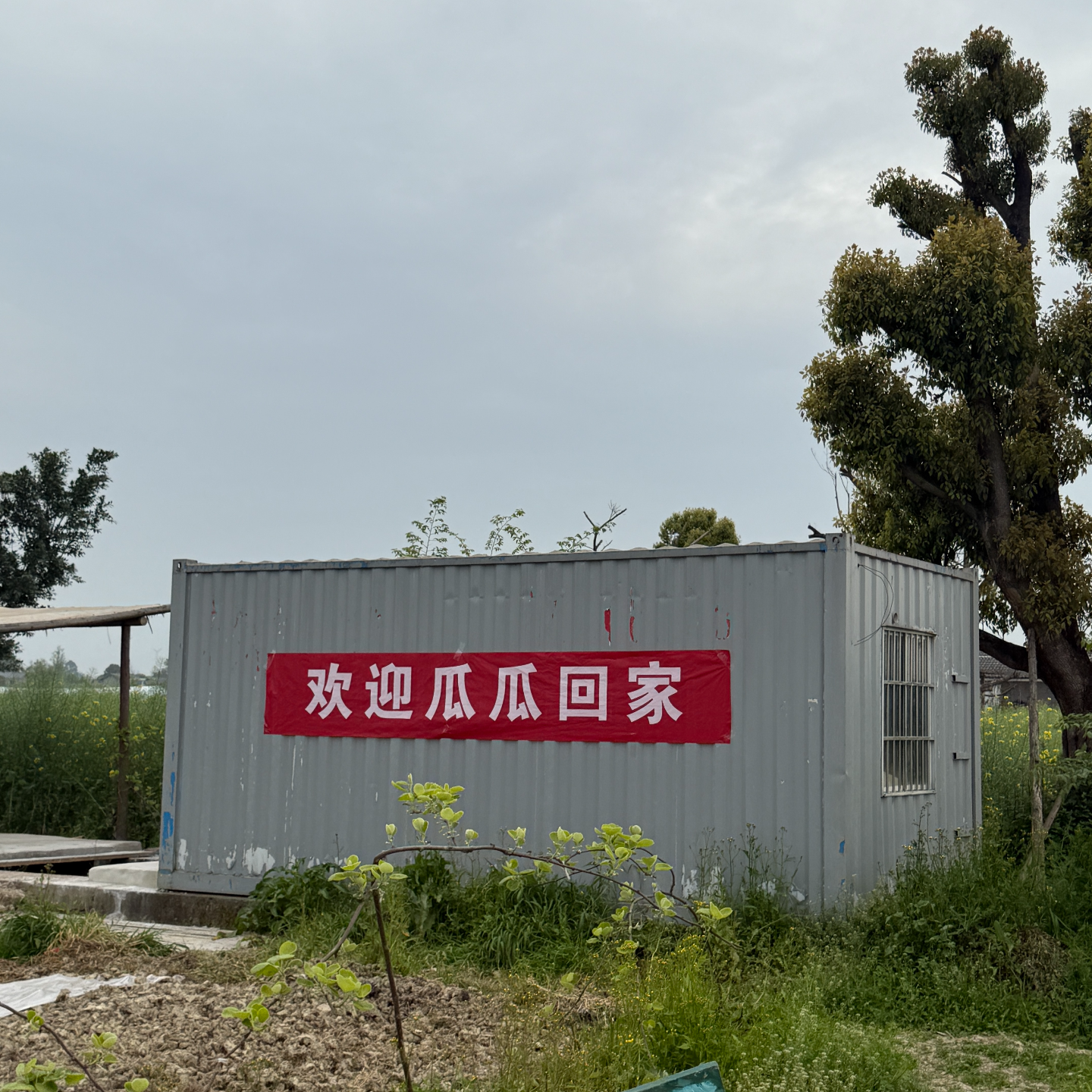 045. | 从深圳南山到成都农村：28岁，我做出了一个冒险而勇敢的决定 episode artwork