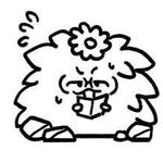 野生信号
