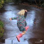 微云不阻清净眼