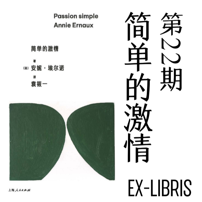P22.《简单的激情》：透过爱情的幻象，抵达真实的细节