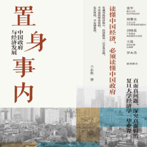 Vol2.《置身事内》：房价、就业、发展背后，看懂政府与经济的运行逻辑