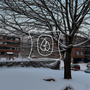 02｜芬兰离别特辑：在这无限靠近自己的一年。