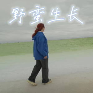 被误解是表达者的宿命